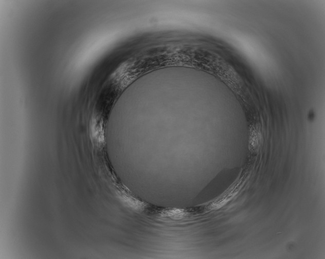 X0000095940431200801181405