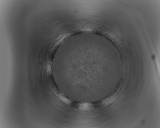 X0000095940432200801181405