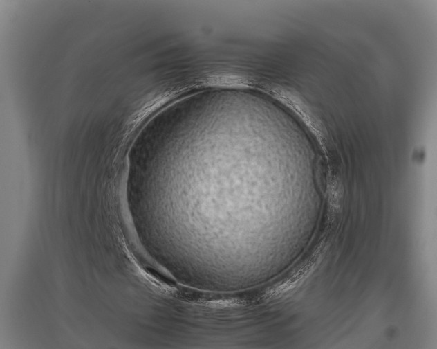 X0000095940433200801181404