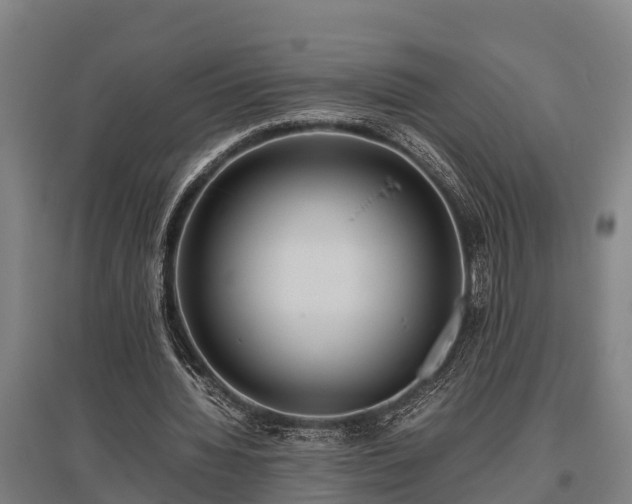 X0000095940436200801181404