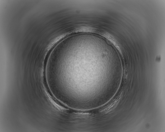 X0000095940437200801181404