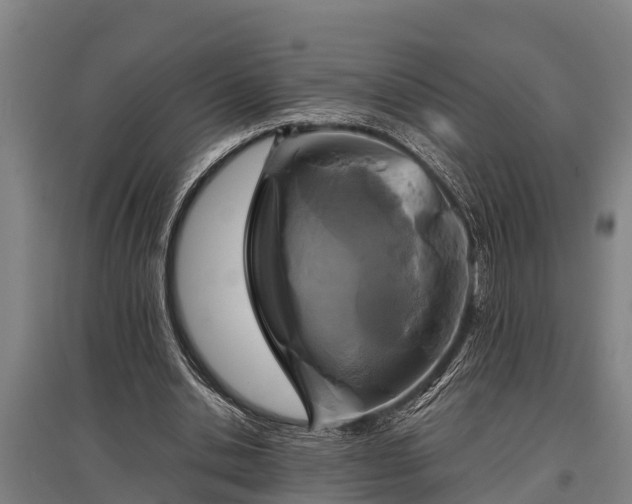 X0000095940438200801181404