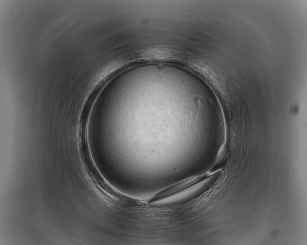 X0000095940439200801181404
