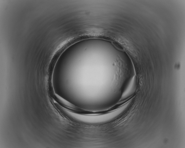 X0000095940440200801181404