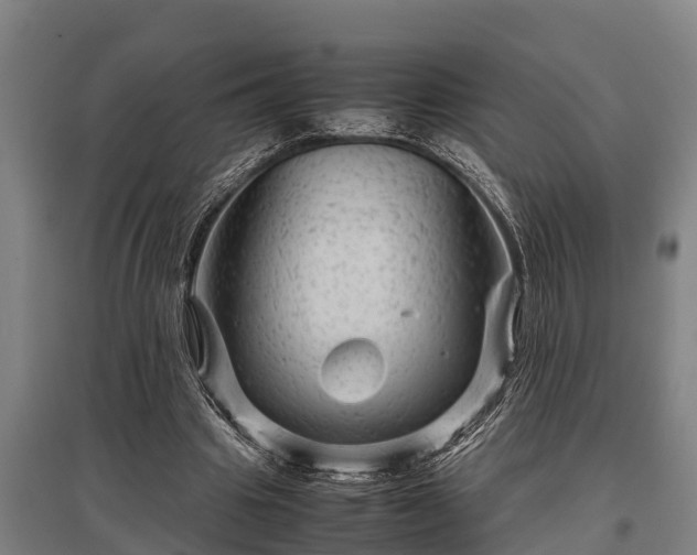 X0000095940441200801181404
