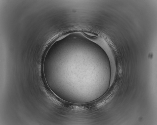 X0000095940442200801181404
