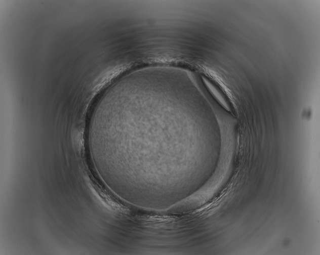 X0000095940443200801181404