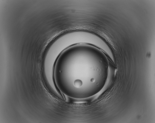 X0000095940444200801181404