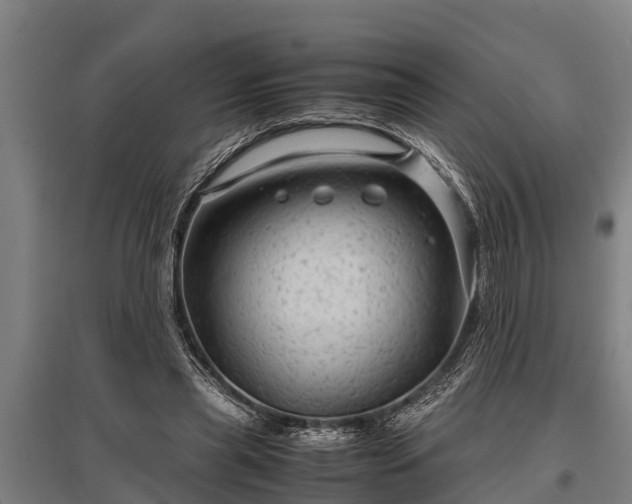 X0000095940445200801181404