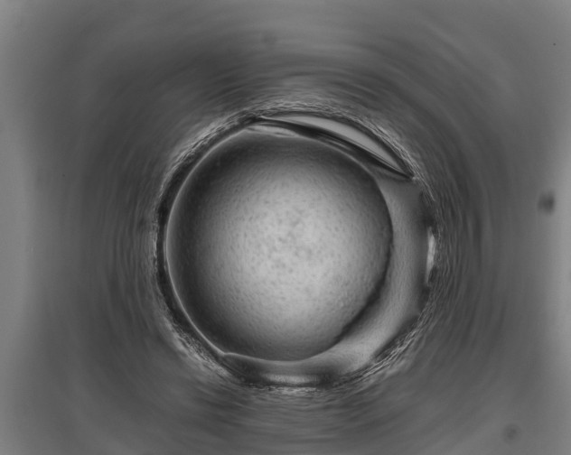 X0000095940446200801181404