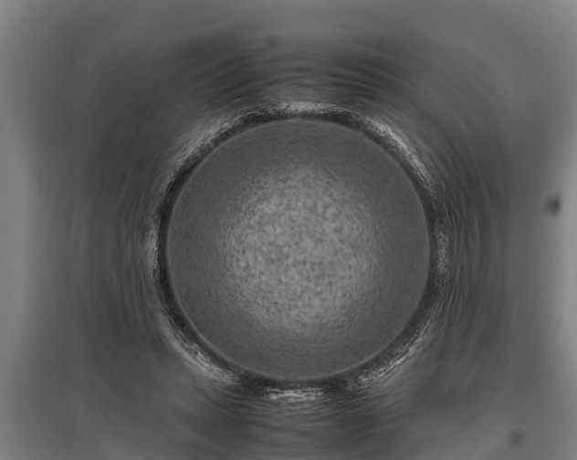 X0000095940447200801181404
