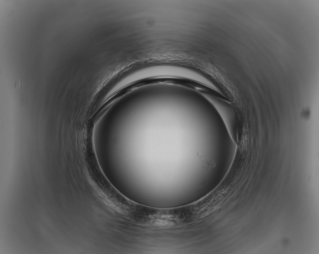 X0000095940448200801181404