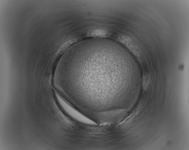 X0000095940449200801181404