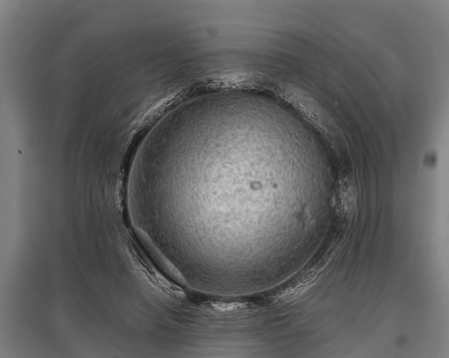 X0000095940450200801181404