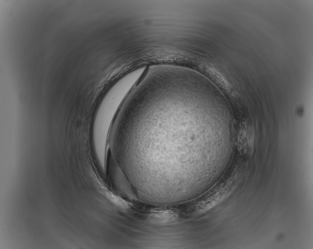 X0000095940454200801181404