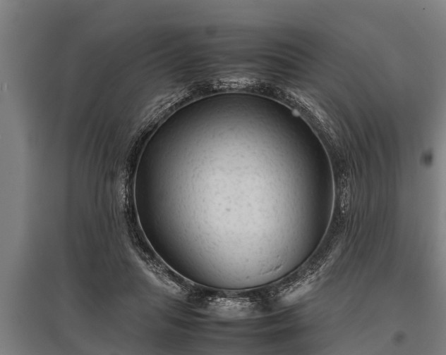 X0000095940455200801181404