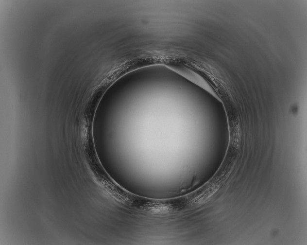 X0000095940456200801181404