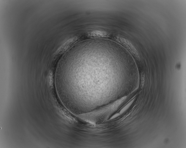 X0000095940457200801181404