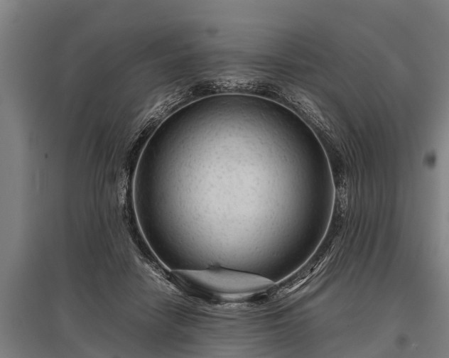 X0000095940458200801181404