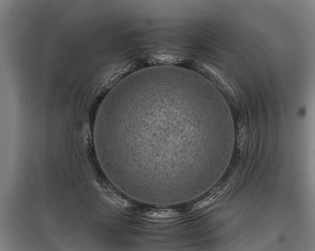 X0000095940459200801181404