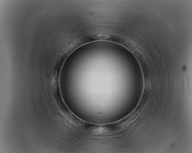 X0000095940460200801181404
