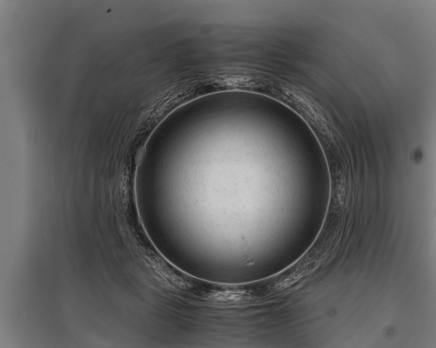 X0000095940461200801181404