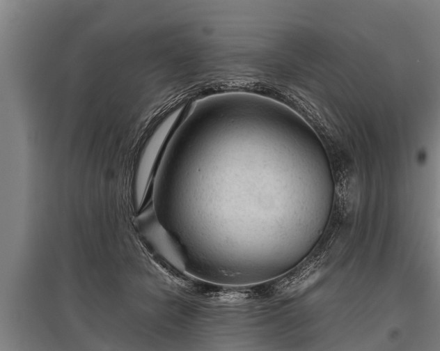 X0000095940462200801181404