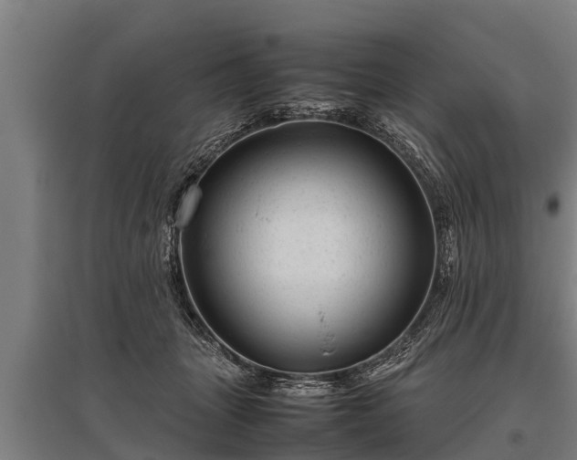 X0000095940463200801181404