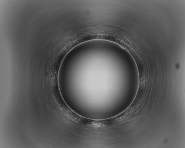 X0000095940464200801181404