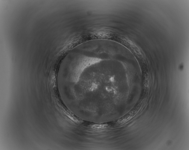 X0000095940465200801181404