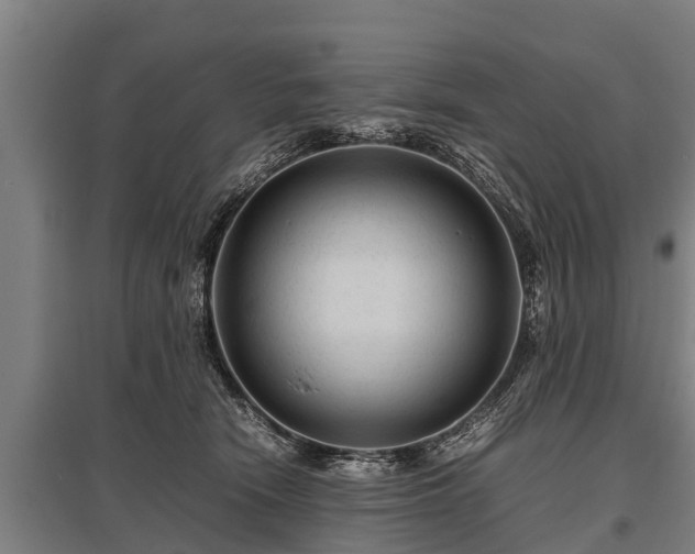 X0000095940466200801181404