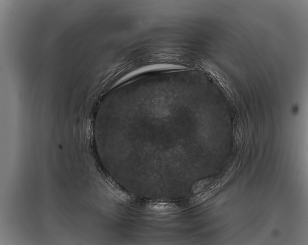 X0000095940467200801181404
