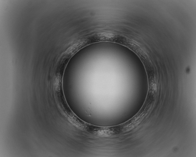 X0000095940468200801181404