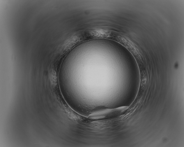 X0000095940469200801181404