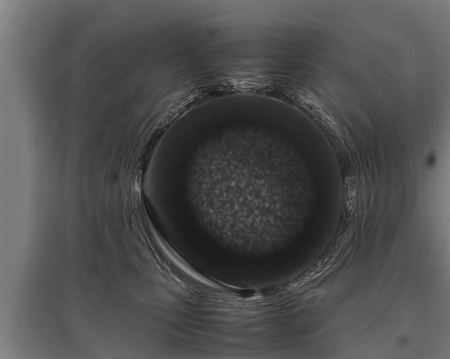 X0000095940471200801181405