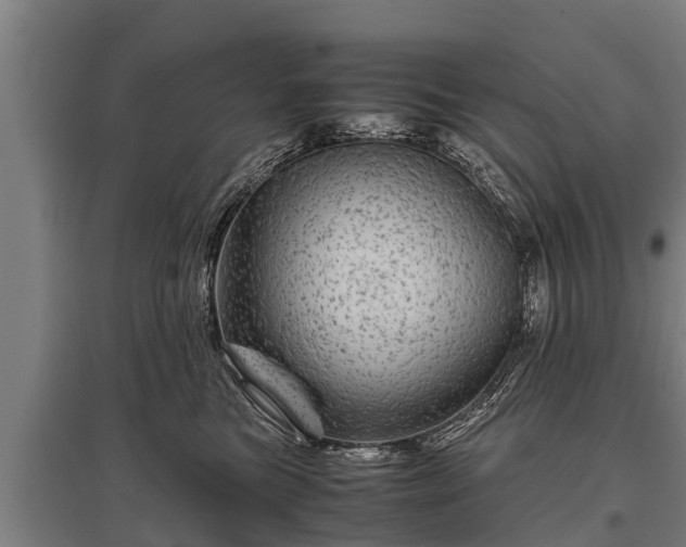 X0000095940473200801181405