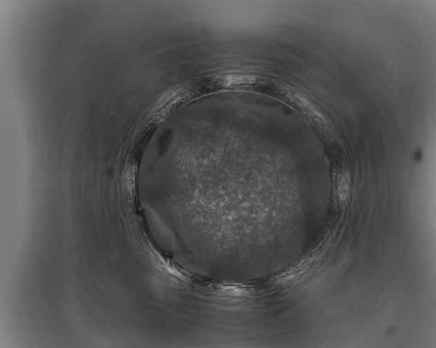 X0000095940475200801181405