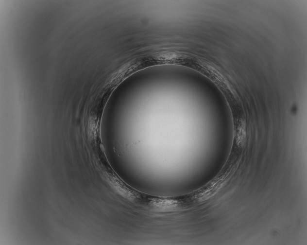 X0000095940476200801181405