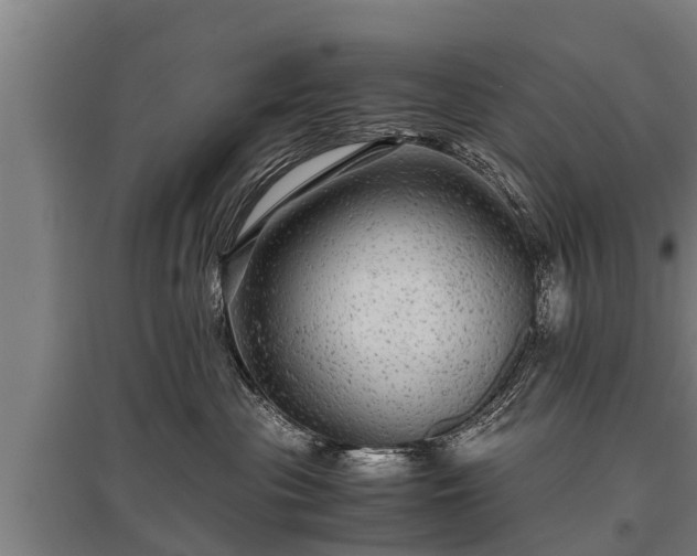 X0000095940477200801181405