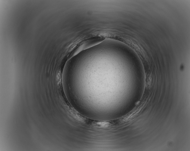 X0000095940478200801181405