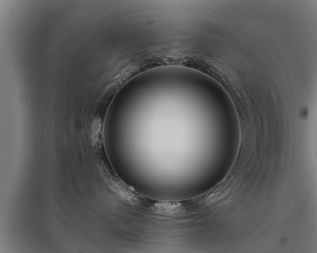 X0000095940480200801181405