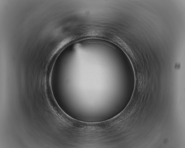 X0000095940482200801181404