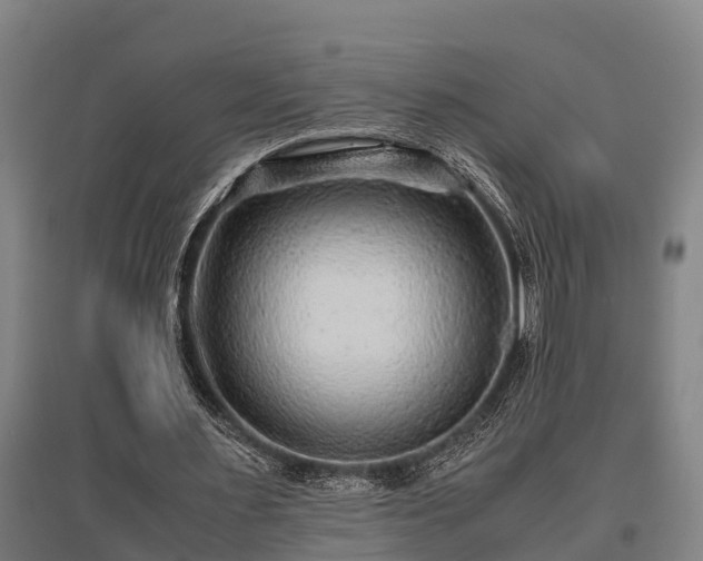 X0000095940483200801181404