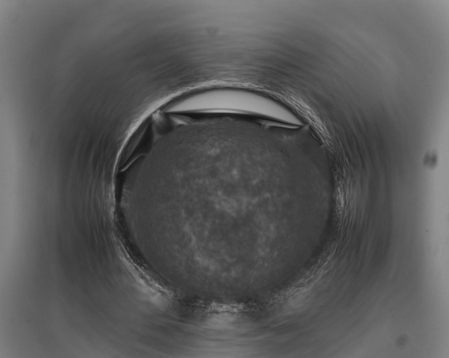 X0000095940484200801181404