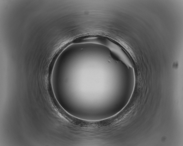 X0000095940485200801181404