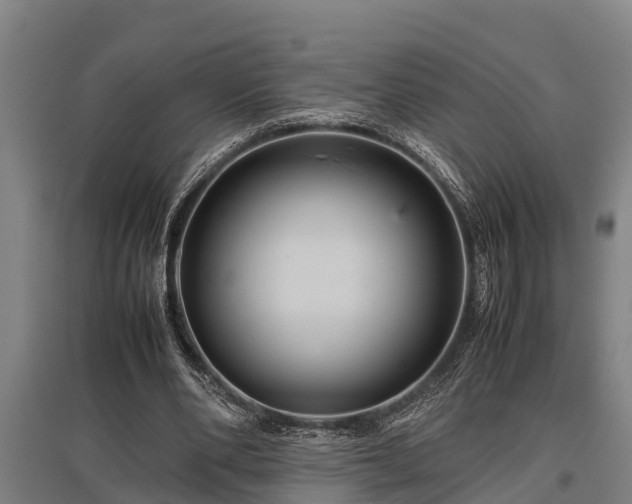 X0000095940486200801181404