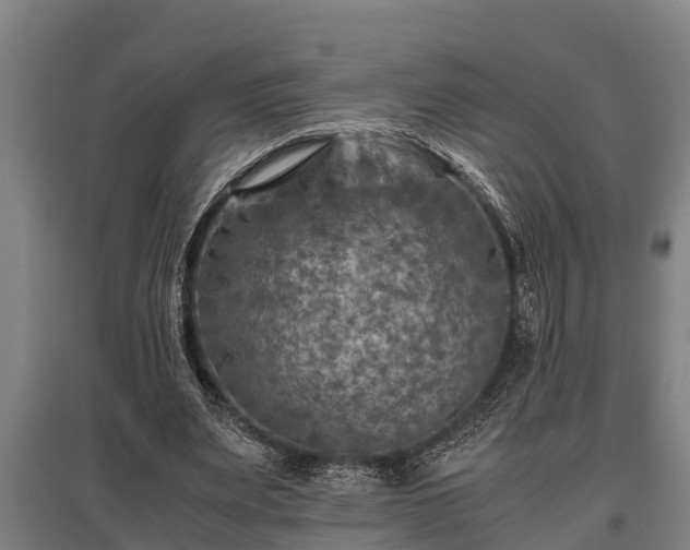 X0000095940487200801181404