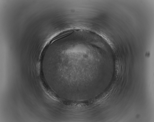 X0000095940488200801181404