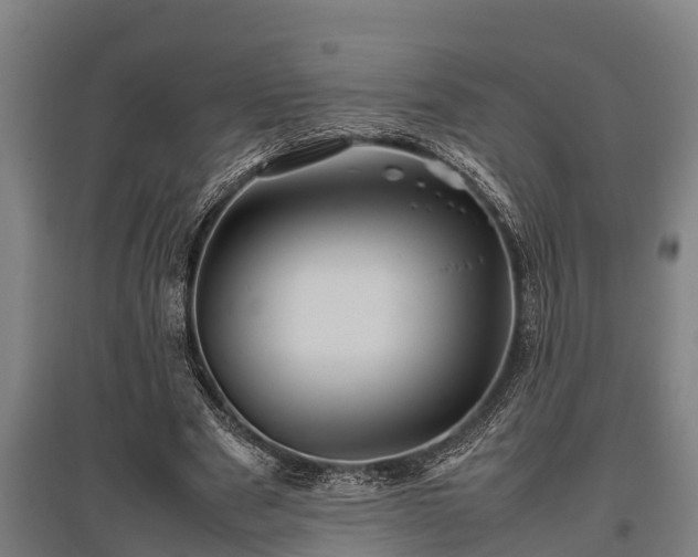 X0000095940489200801181404