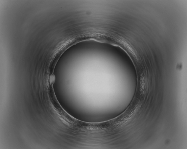 X0000095940490200801181404